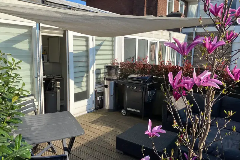 Jan Haringstraat-image