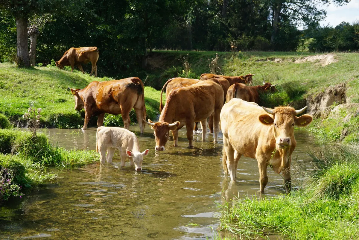 Heeft u iets te melden?-image