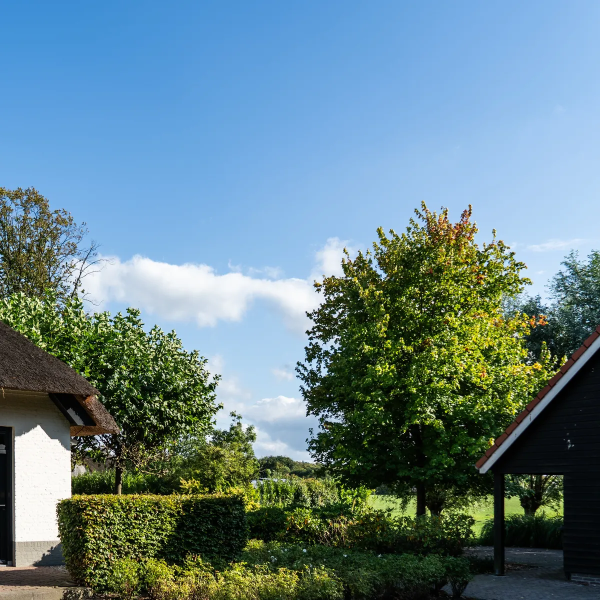 Weersverwachting-image