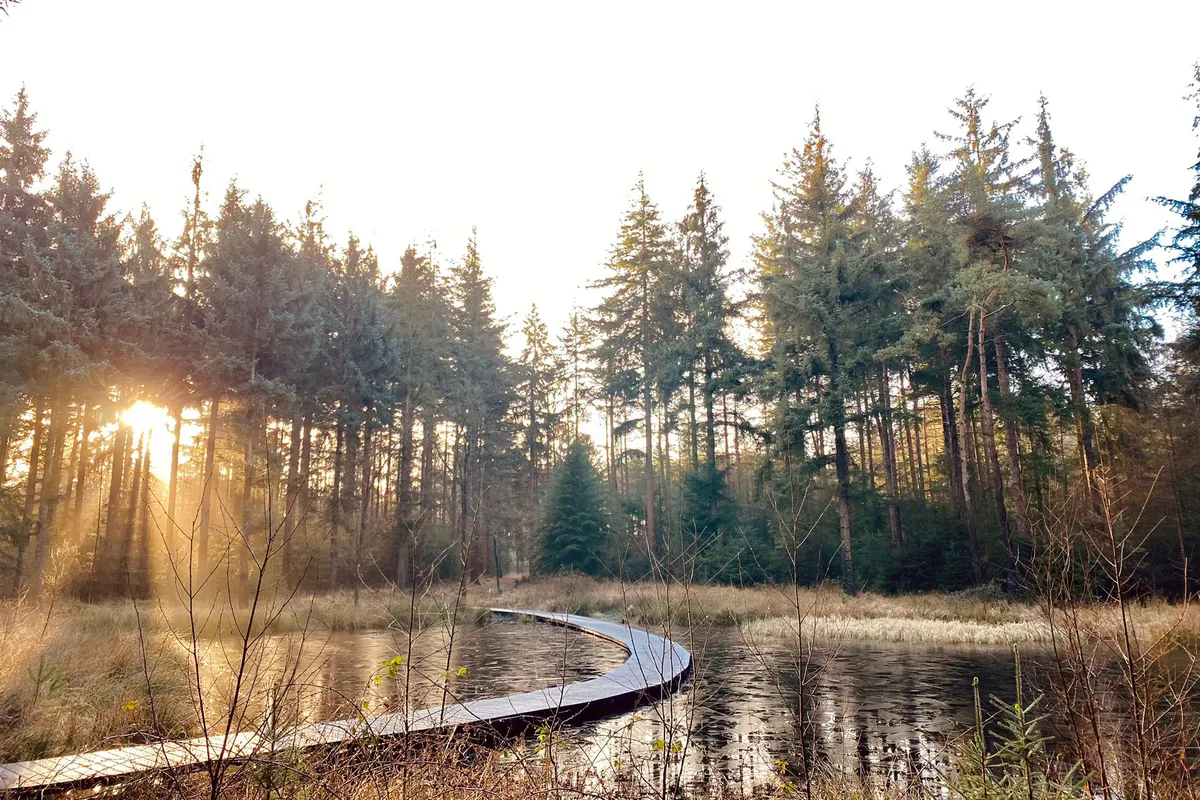 Fiets-en wandelroutes-image