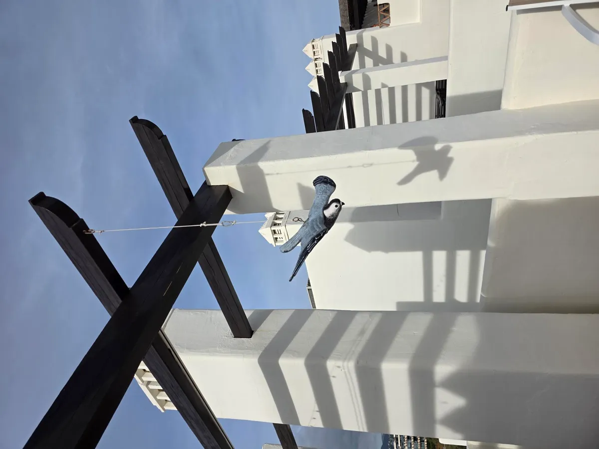 De plastic roofvogel op het dakterras-image