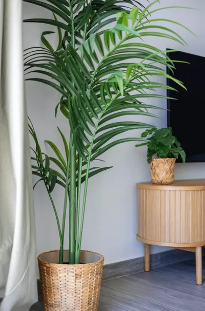 In-App extra's-image