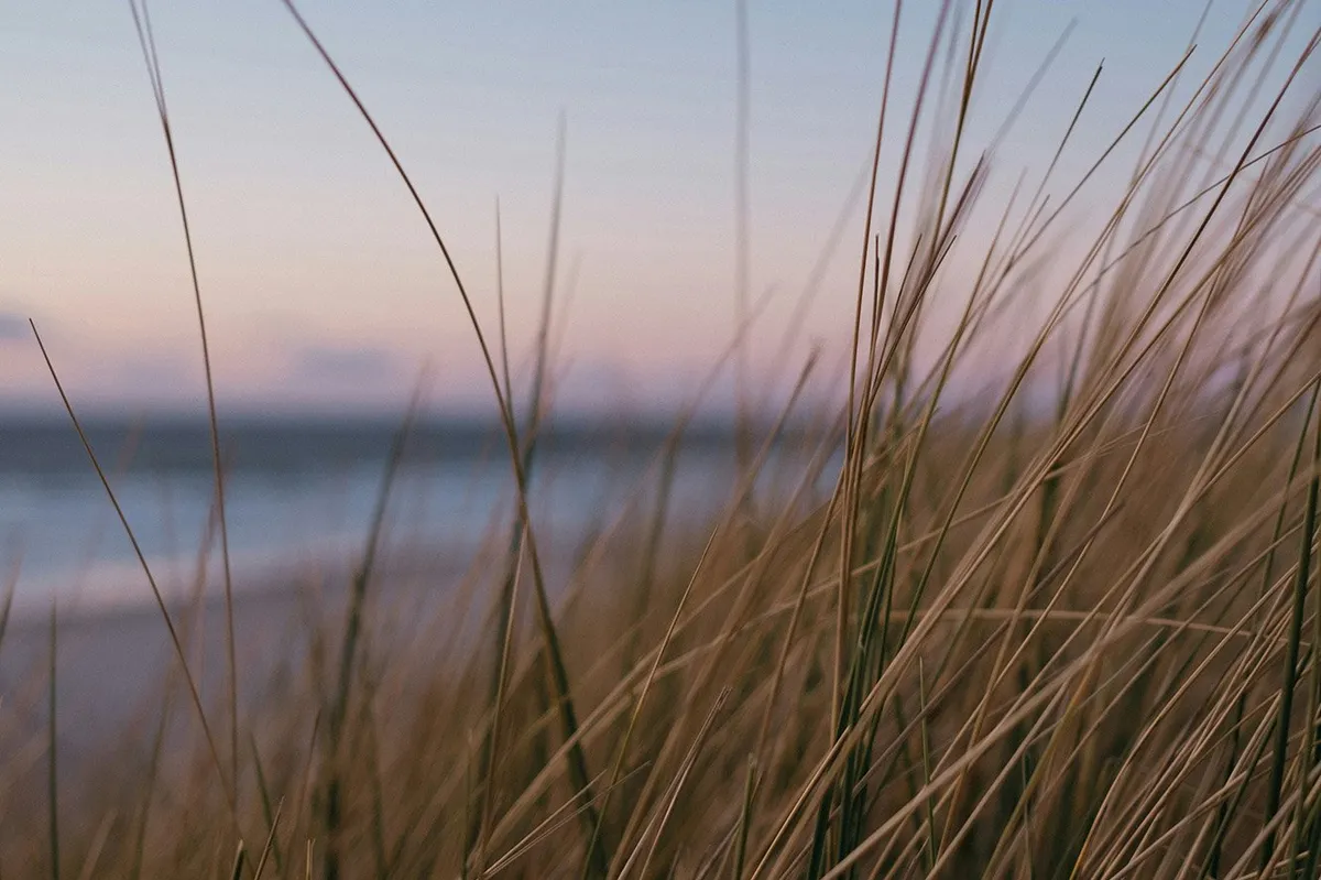 Regels strand-image
