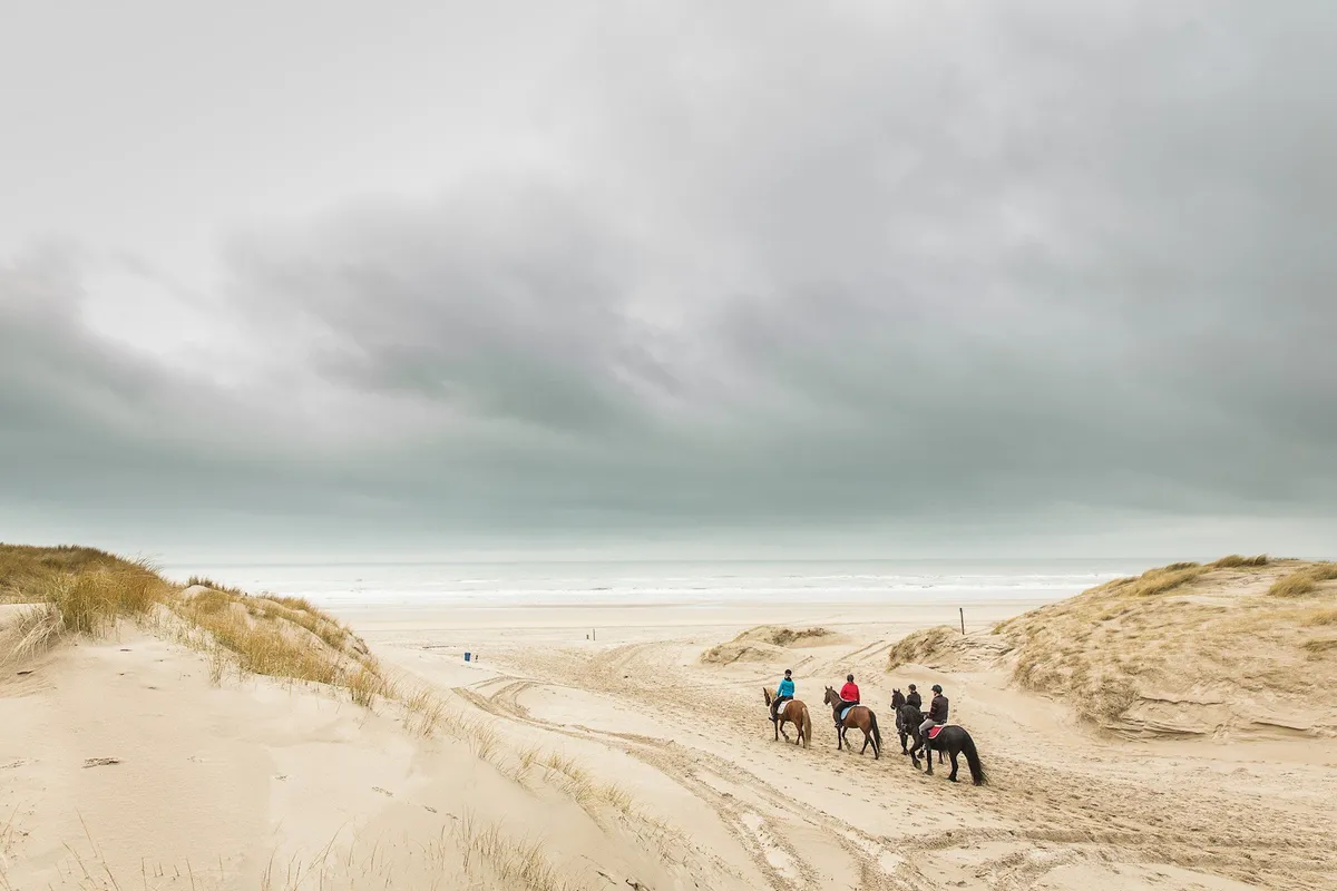 Stranden-image