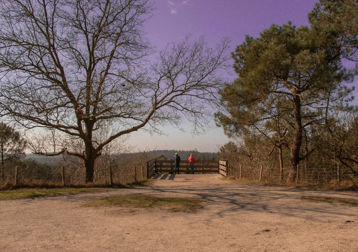 Wandelroutes-image