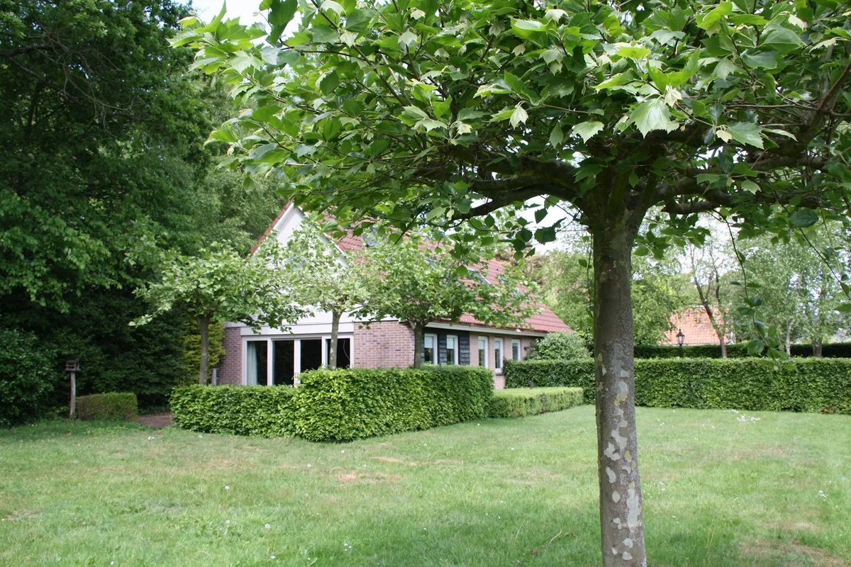 Het Boshuisje-image