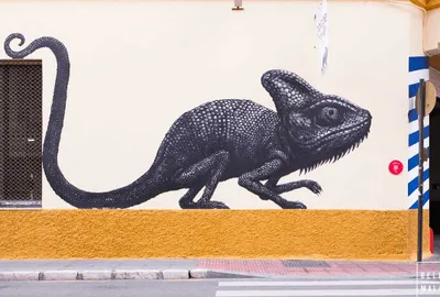 Málaga Street Art Tour-image