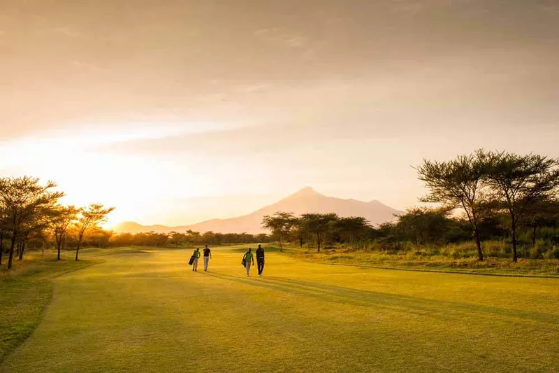 Weather Report-image