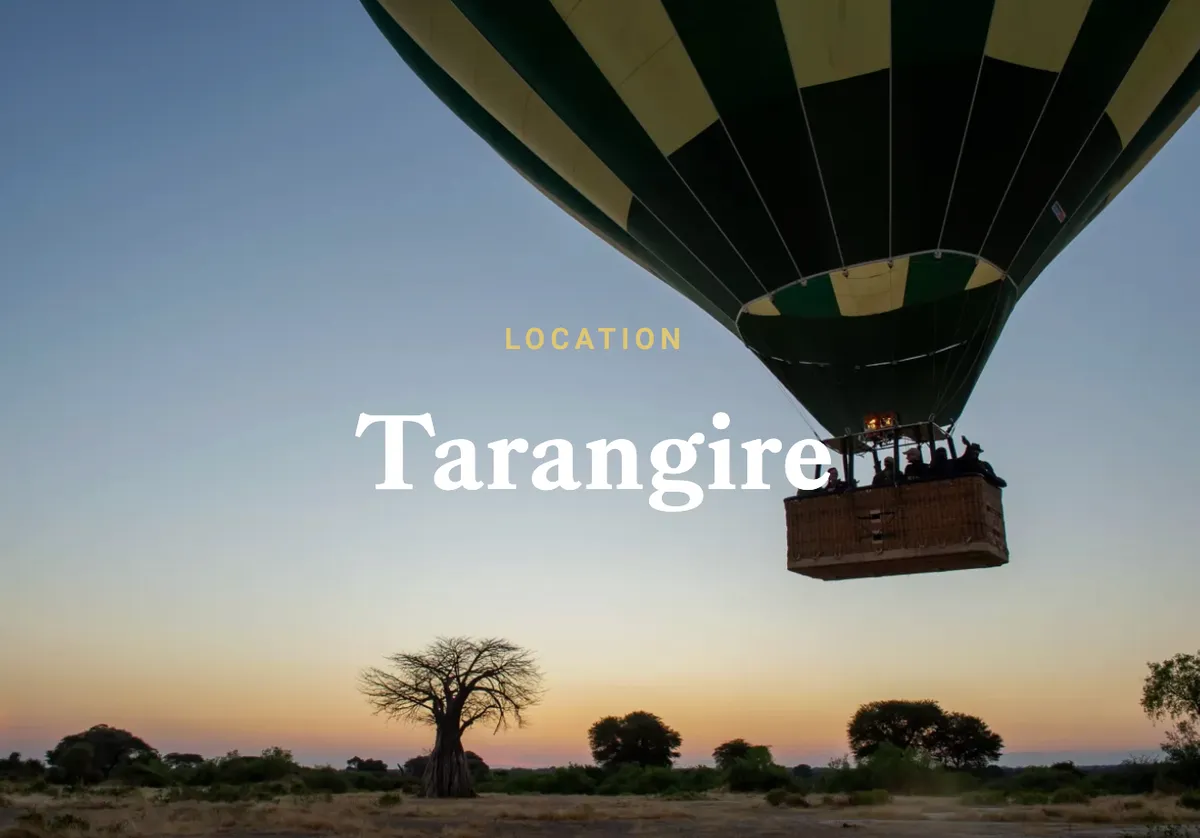 Balloon Safari-image