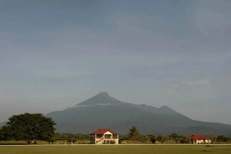 Boek transfer of activiteit-image