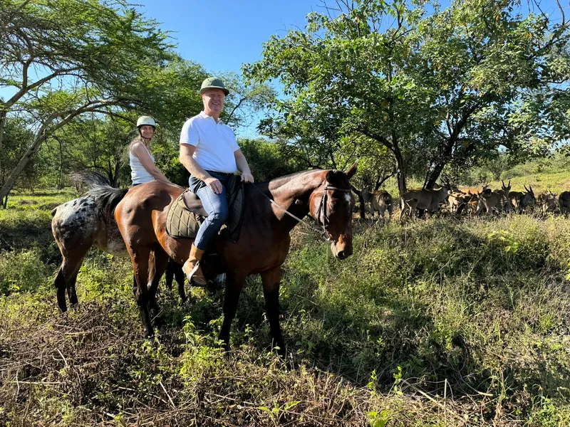Horseback riding-image