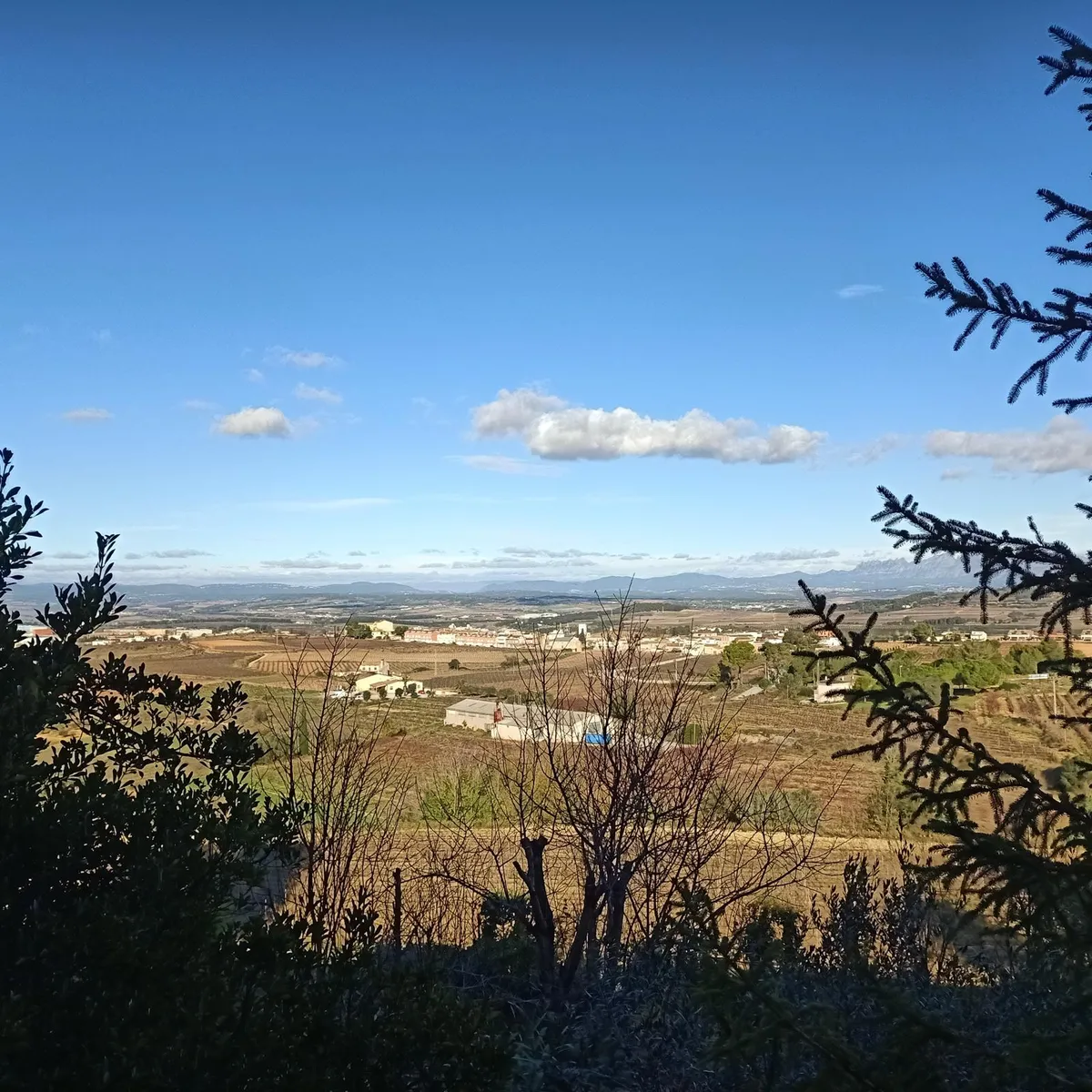 Welkom-image