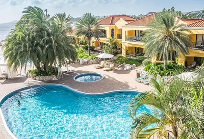 Waarom Curacao?-image