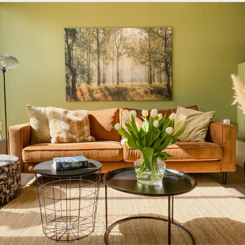 The Highlander-image