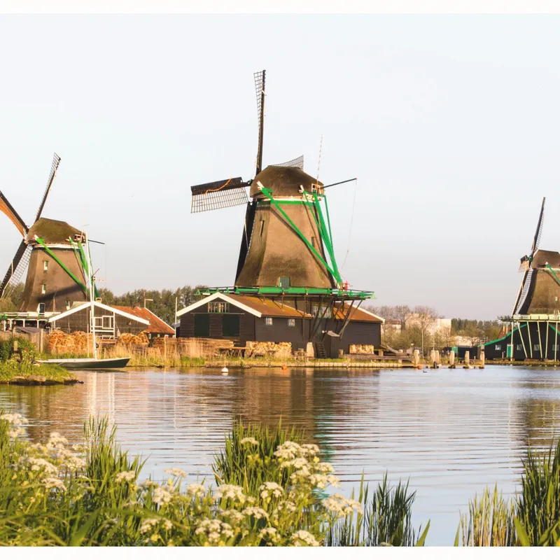 Tickets kopen?-image
