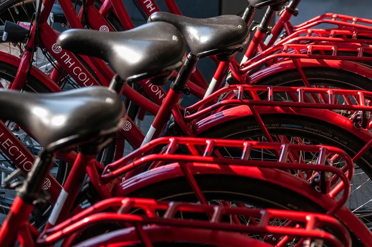 Fietsen huren-image
