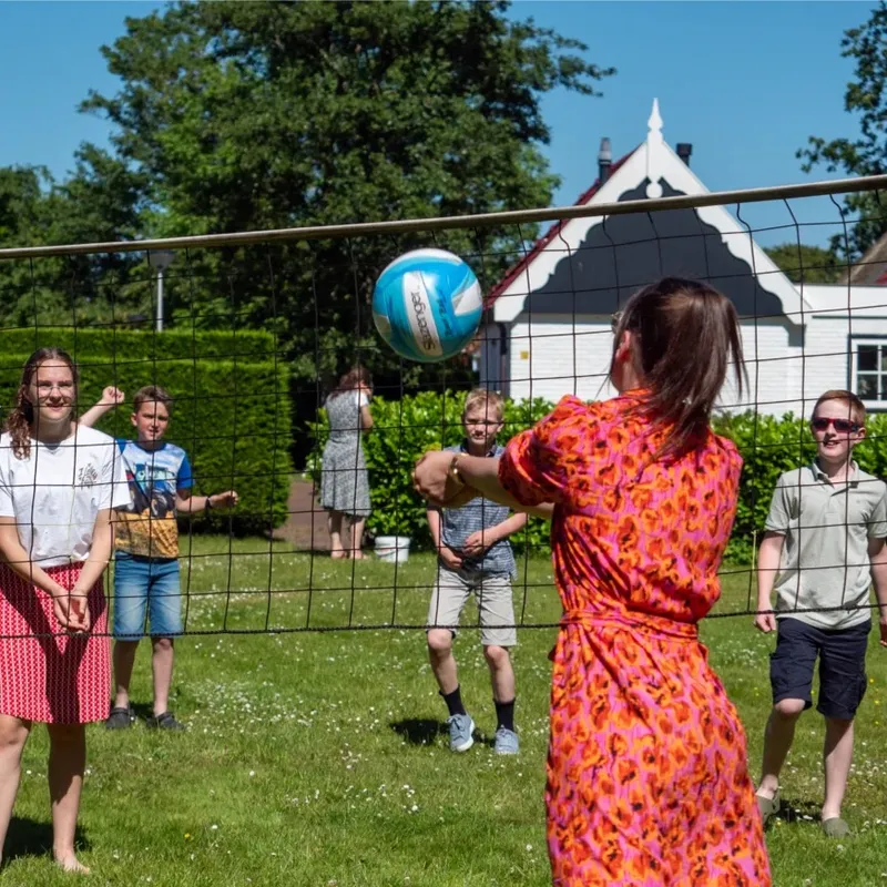 Volleybaltoernooi-image