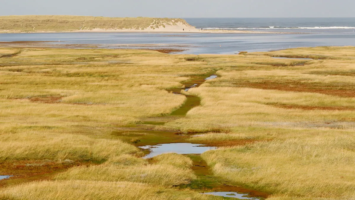 De natuur in (met kinderen)-image