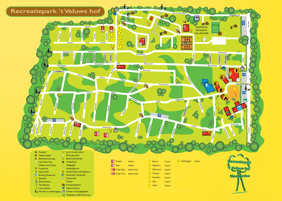 Route & in en uitchecken - Wild Flower-image