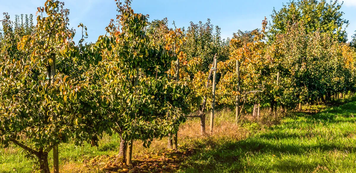 Ontdek de omgeving-image