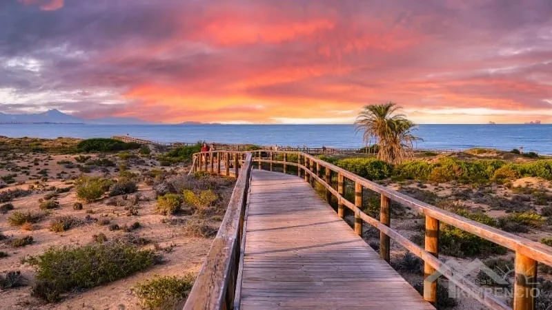 Stranden-image