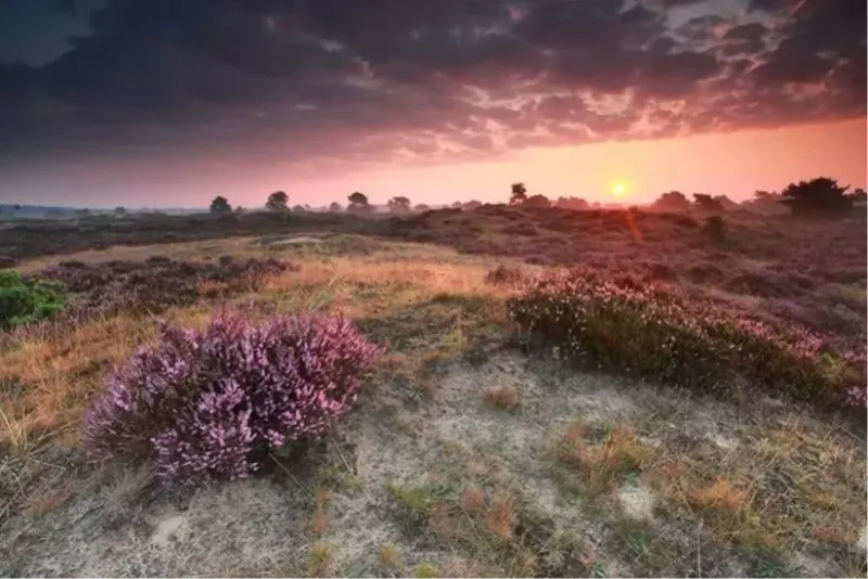 Ontdek de omgeving-image