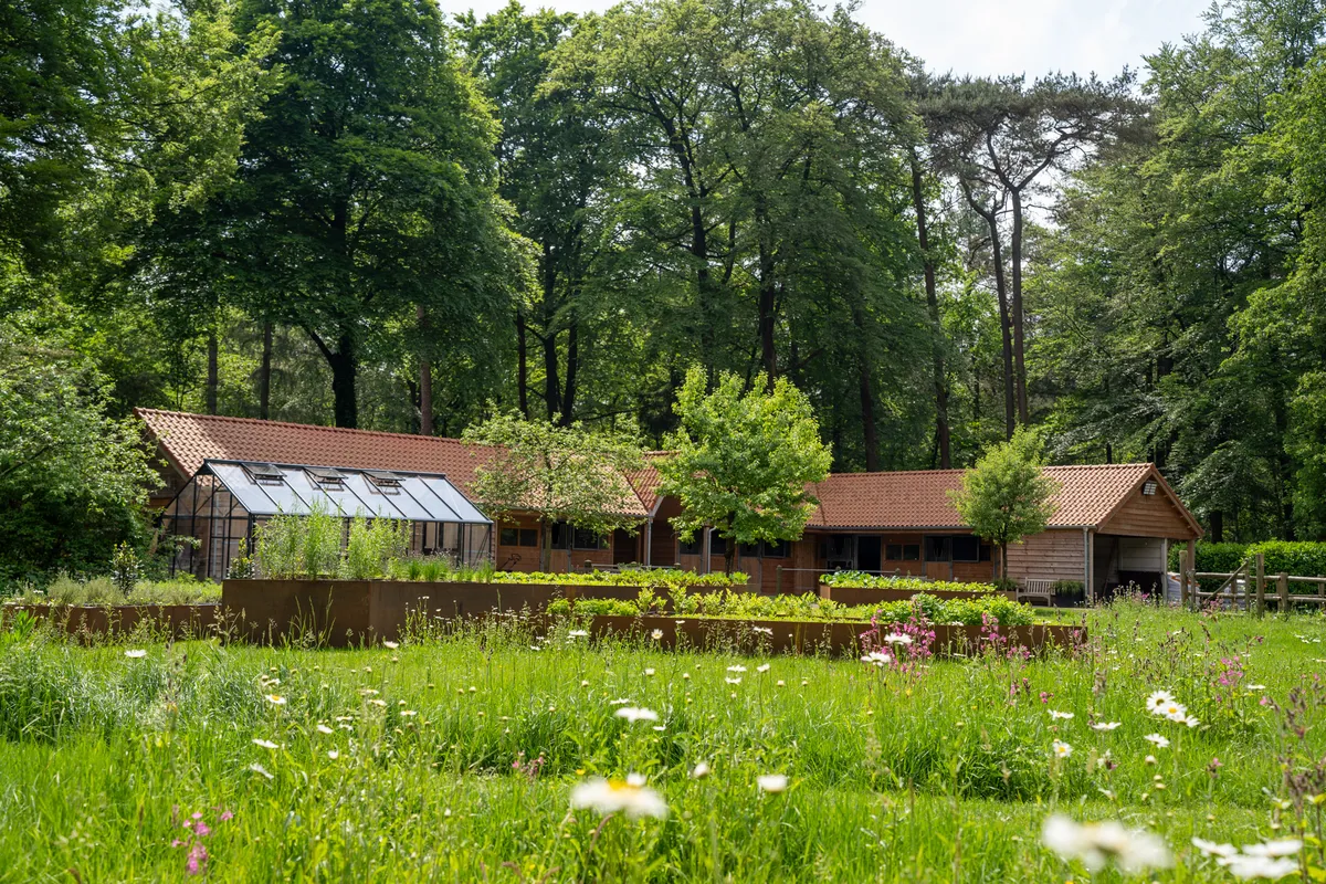       Moestuin en kas-image