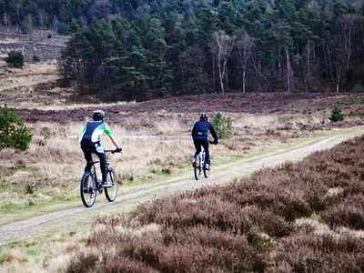      Teambuilding en activiteiten-image