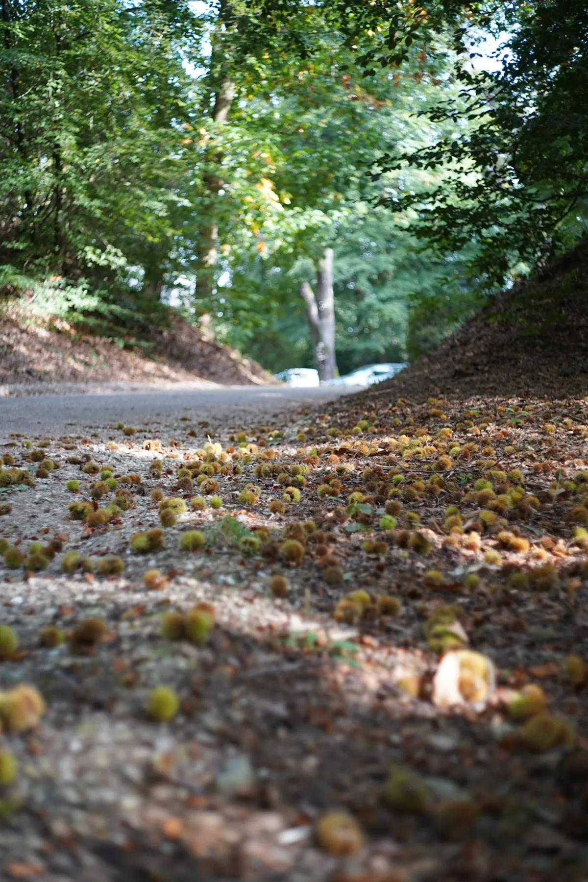    Bereikbaarheid en parkeren-image