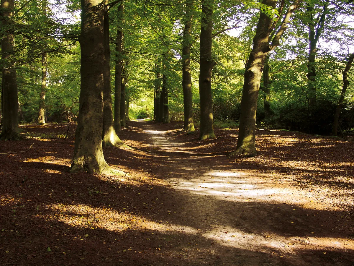 Fiets- en wandelroutes-image