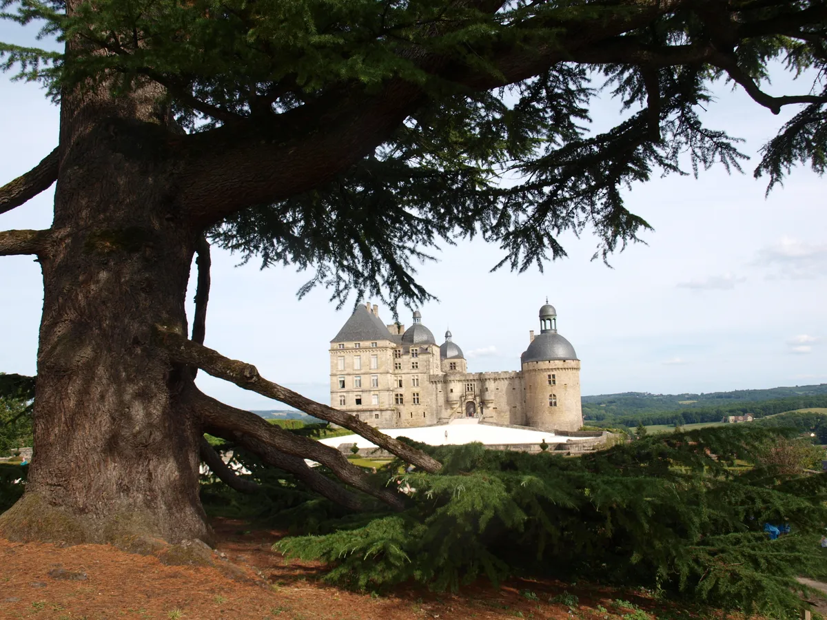 Chateau Hautefort-image