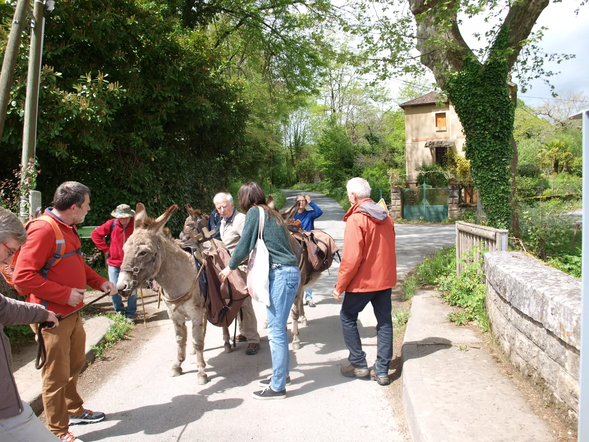 wandelen met Visorando-image