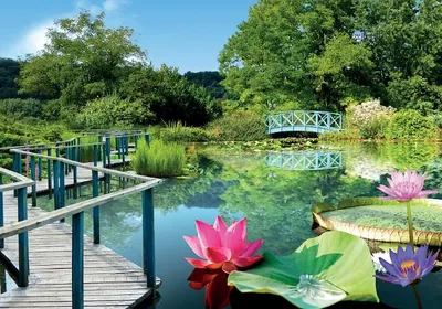 jardins d'eau-image