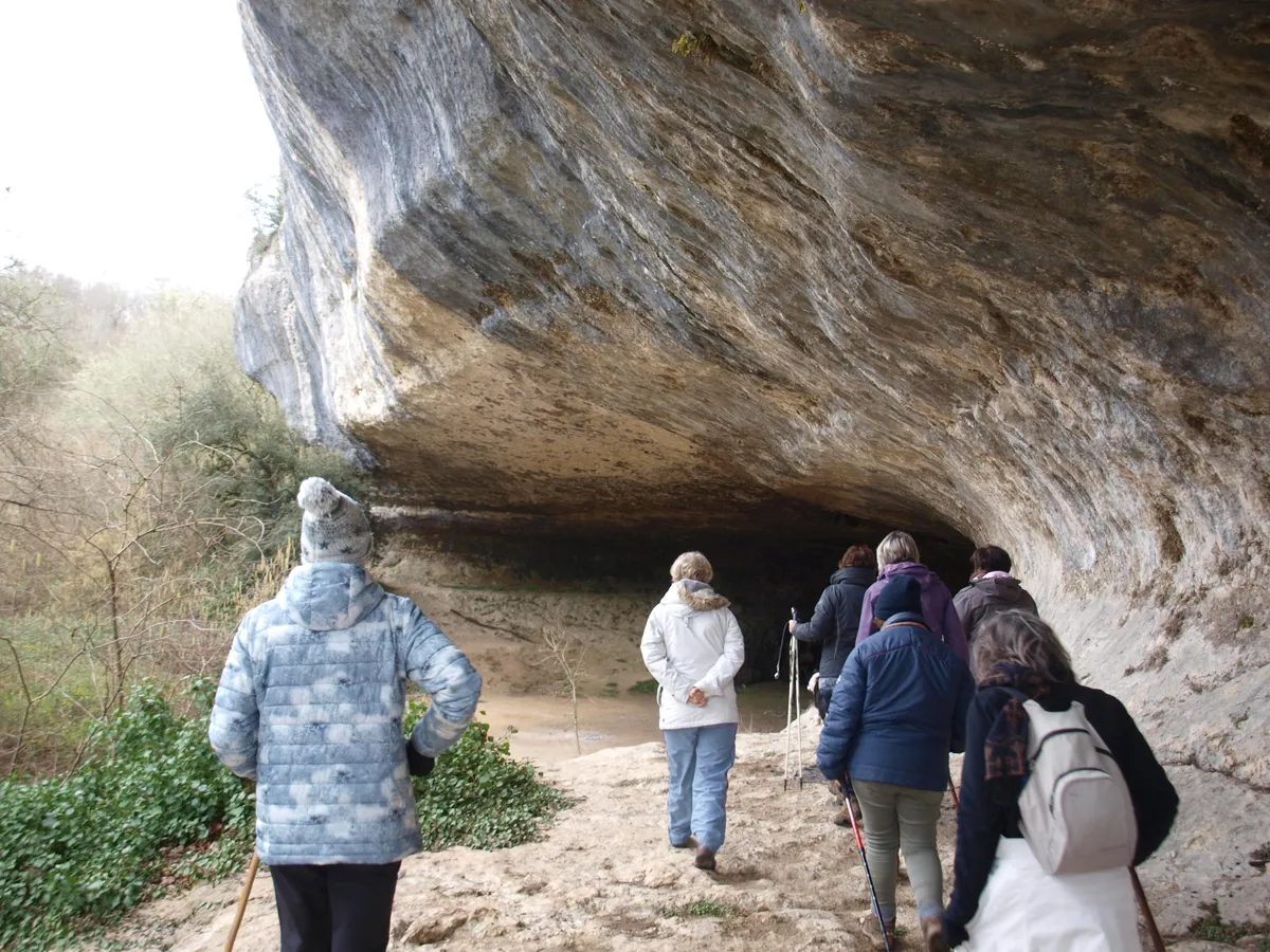 Wandelen en fietsen in de omgeving-image