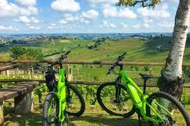 Rondje fietsen   (E-bike) door de wijnvelden?-image