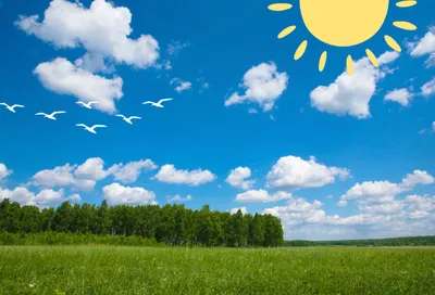                Het weer-image
