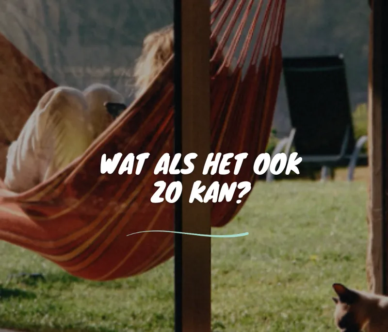 Zomerlicht / Camping & Accommodaties-image