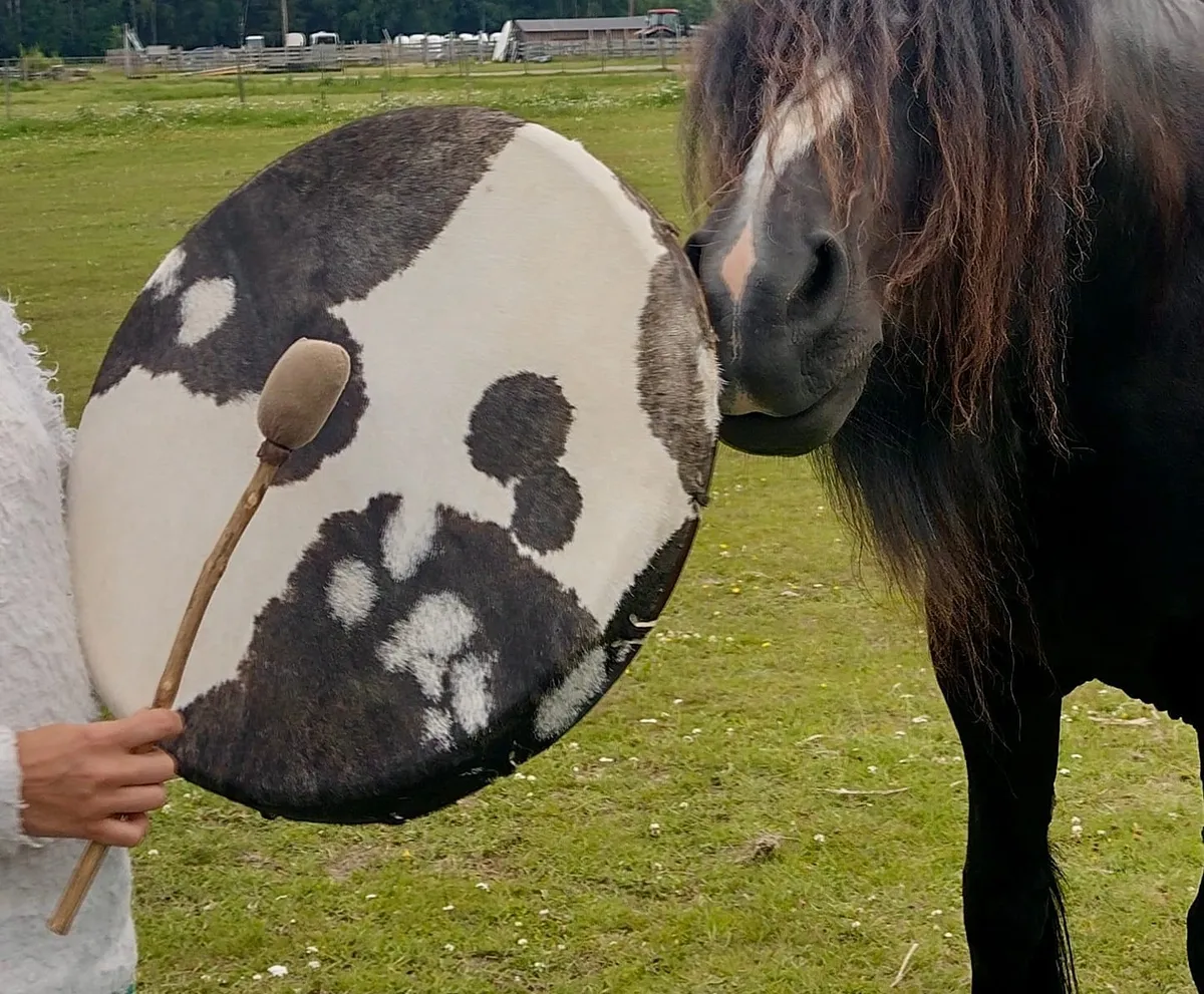 Drum building weekend-image