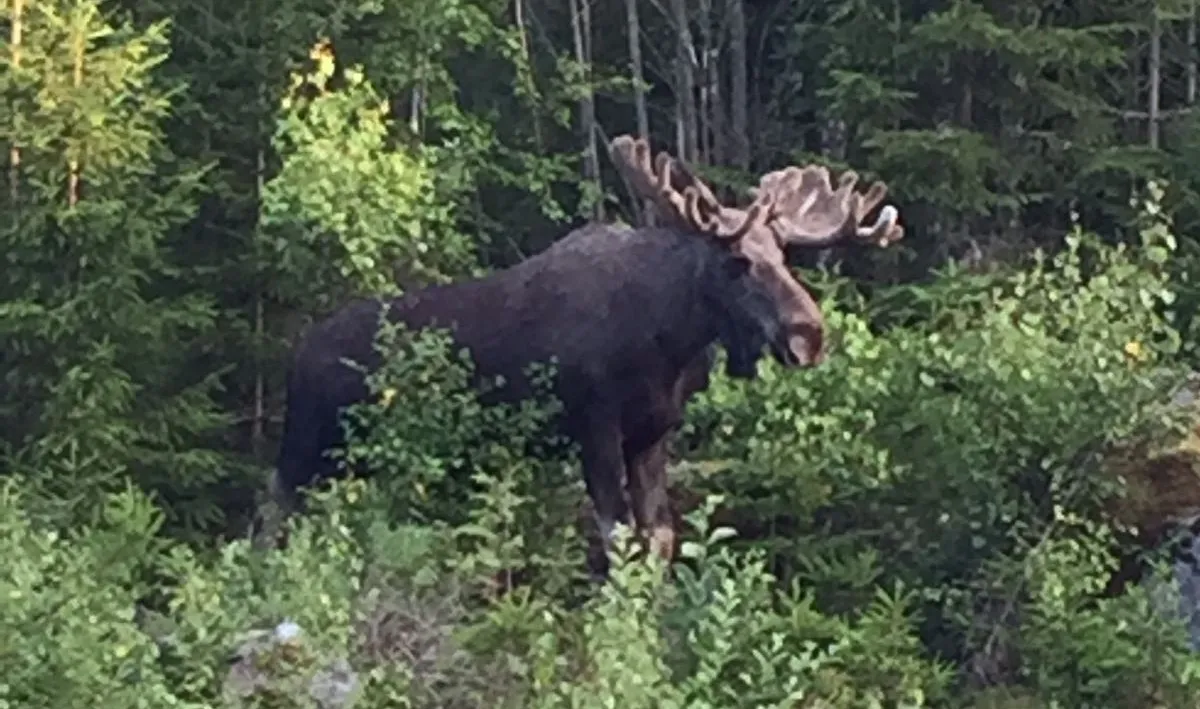 Activiteiten in de omgeving-image