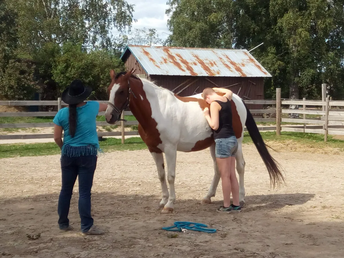 Coaching sessie met behulp van een paard-image