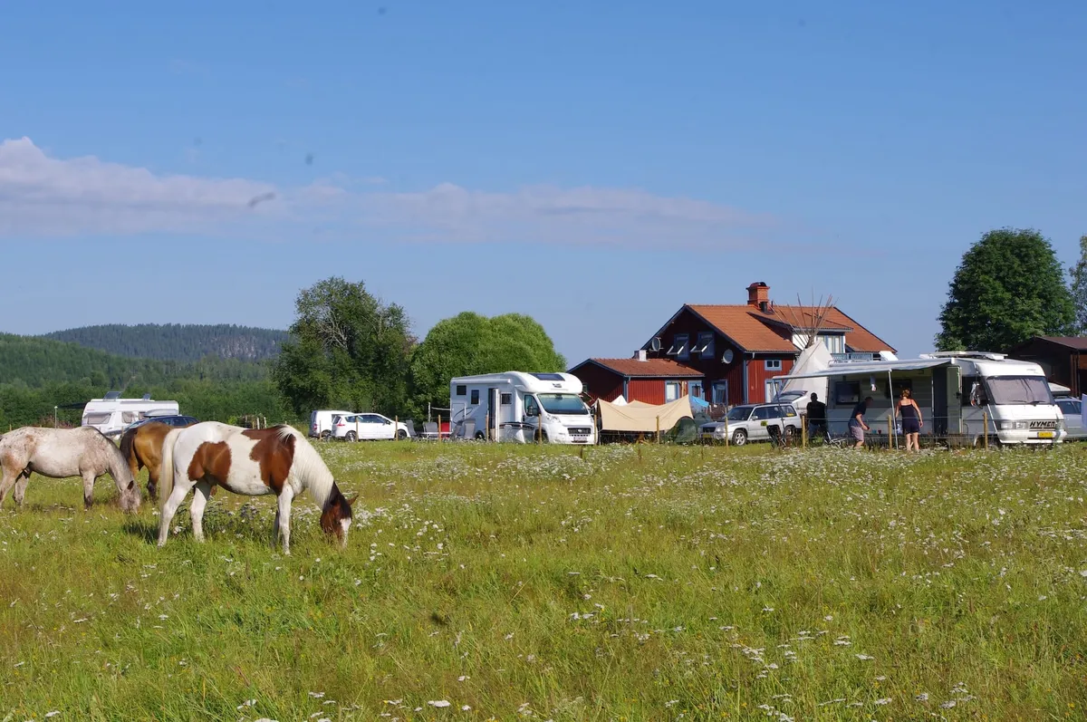Camping reserveren-image