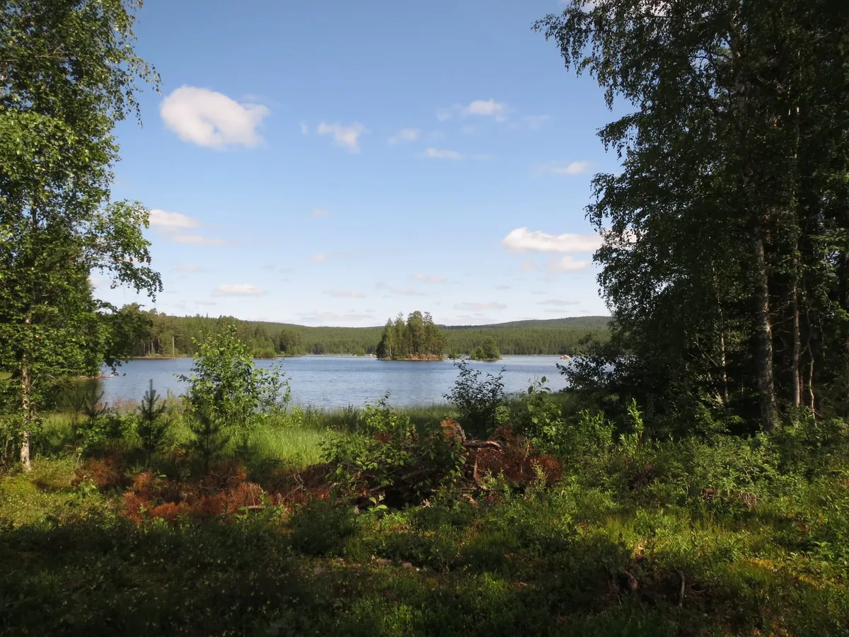Duurzaamheid-image