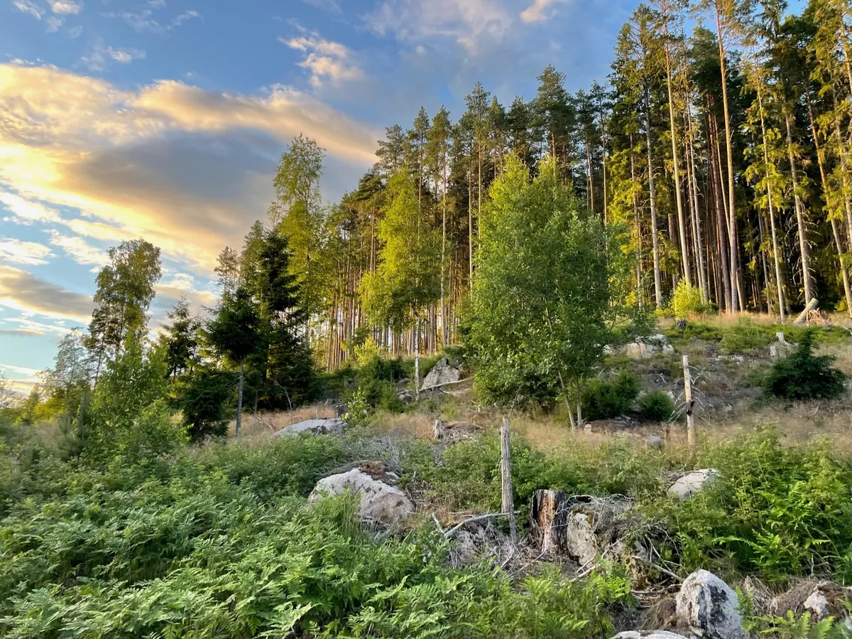 Wandelingen-image