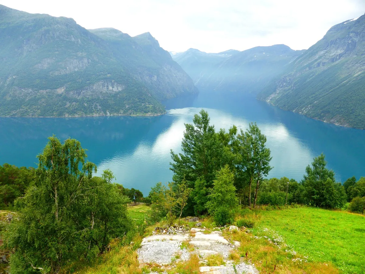 Natuur-image