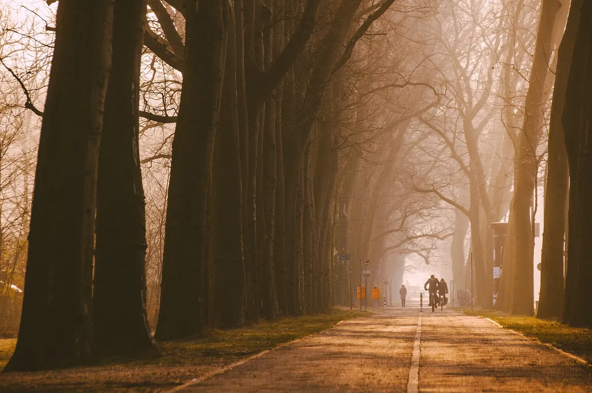 Fietsroute planner-image