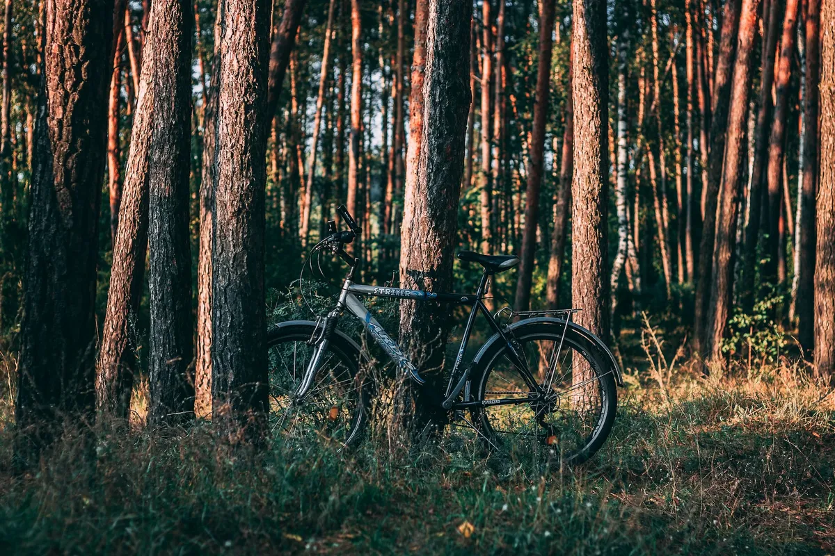 Recreatieve routes-image