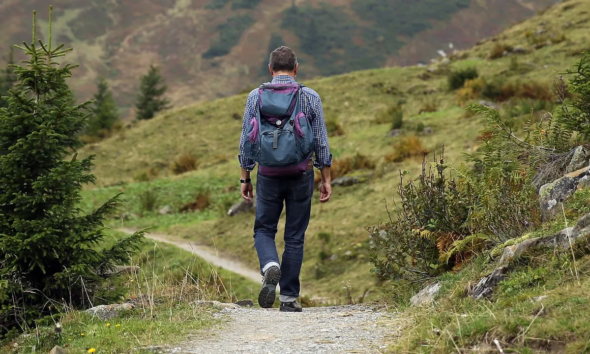 Fiets- en wandelroutes-image