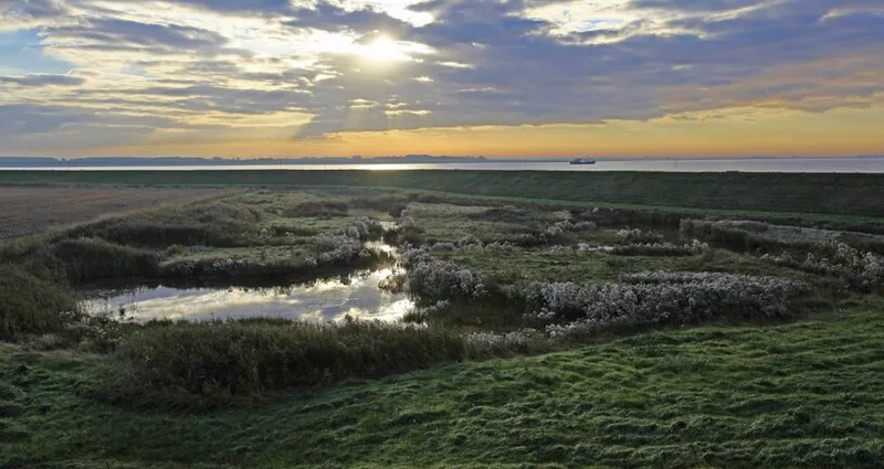 Het Zeeuwse Landschap-image