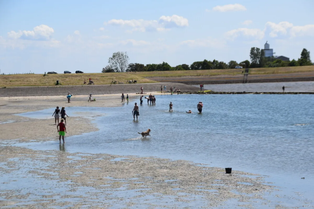 Ontdek Tholen-image