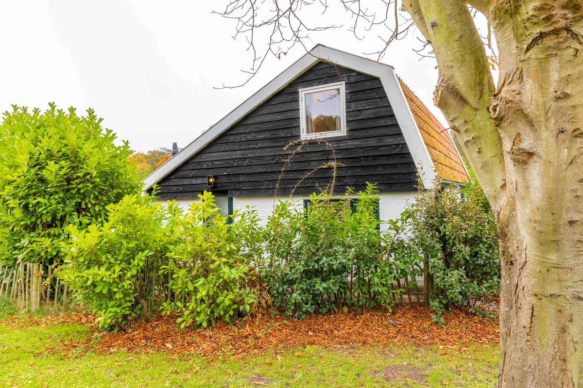 Impressie Duinhuisje Groet-image